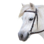 Eureka – Plain Snaffle Bridle