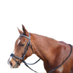 Showcraft – Silver Clinch Hanoverian Bridle