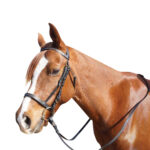 Eureka – Chain Cavesson Bridle
