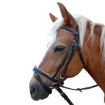 Eureka – Eventing Bridle