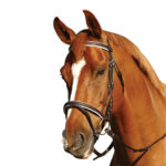 Eureka – Eventing Bridle