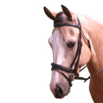 Showcraft – Cassidy Stitched Hanoverian Bridle