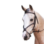 Showcraft – Grackle Bridle