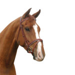 McAlister – Padded Hanoverian Bridle