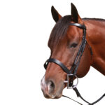 McAlister – Flat Cavesson Bridle