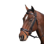 McAlister – Contrast Hanoverian Bridle