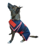 X -Calibur – Dog Coat