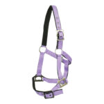 Showcraft – Bella Headstall & Lead Set