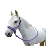 Showcraft – Bella Headstall & Lead Set