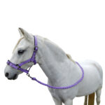 Showcraft – Bella Headstall & Lead Set