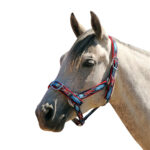 Eureka – Big Diamond Drill Headstall