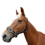 Eureka – Equine Headstall