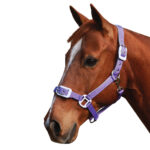 Status – Deluxe Padded Headstall