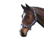 Eureka – Harriet Check Headstall