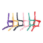 Eureka – Buckle Halter