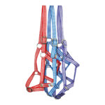 Eureka – Buzz Economy Headstall
