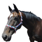 Eureka – Harlequin Headstall