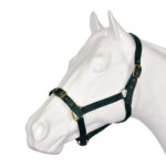 Status – Nylon Halter