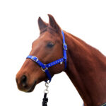 Eureka – Jewelled Nylon Halter