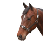 Eureka – Leather Halter
