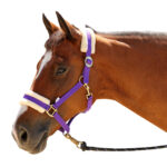 Eureka – Fleece Backed Headstall