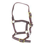 McAlister – Foal Halter With Brass Fittings – Two Toned – Foal