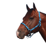 Navaho – Missouri Western Rope Halter