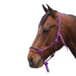 Navaho – Western Rope Halter Without Nose Knots