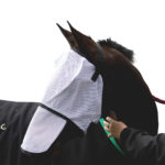 Eureka – Flymask & Nose Protector Set