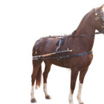 Showcraft – Synthetic Harness