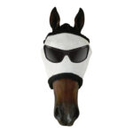 Showcraft – Funny Flymask – Mr Cool