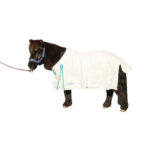 Showcraft – Miniature Summer Ripstop Rug