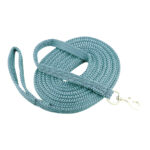 Eureka – Two Toned Lunge Lead Satin Snap