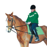 Eureka – Draw Reins Webbing