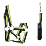Eureka – Miniature Halter & Lead Set