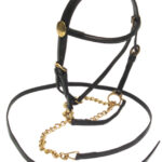 Eureka – Lead -In Nickel Plated Bridle