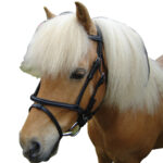 Eureka – Miniature Bridle