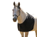 Eureka – Taffeta Rug Bib