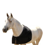 Eureka – Taffeta Rug Bib