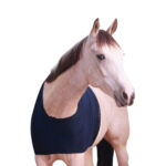Eureka – Chest And Wither Protector Bib