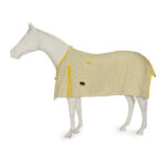 Showcraft – Gold Canvas Rug