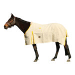 Showcraft – Gold Canvas Rug