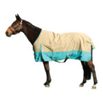 Eureka – Summer Synthetic Rug