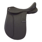 Status – Dressage