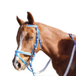 Showcraft – PVC Hanoverian Event Bridle