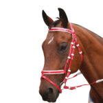 Showcraft – PVC Hanoverian Event Bridle