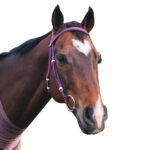 Showcraft – PVC Race Bridle Head