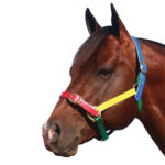 Showcraft – Multi Coloured PVC Headstall