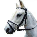 Eureka – Diamonte PVC Hanoverian Bridle