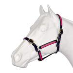 Showcraft – PVC Overlay Halter